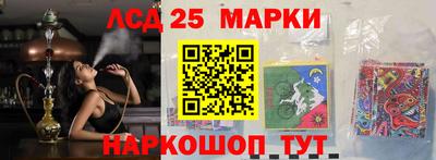 гашик Кандалакша