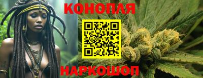 гашик Кандалакша