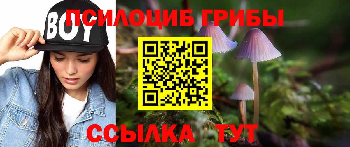 Псилоцибиновые грибы прущие грибы  где найти   Коряжма  Вход с VPN 